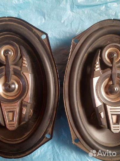 Автодинамеки