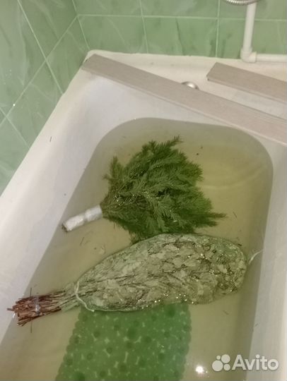 Берёзовый, пихтовый веник