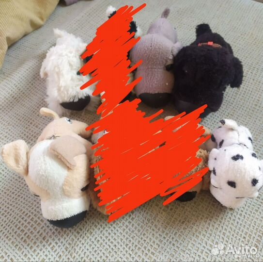 The dog collection