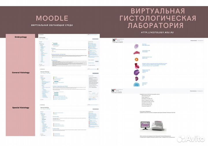 Преподаватель гистологии, эмбриологии