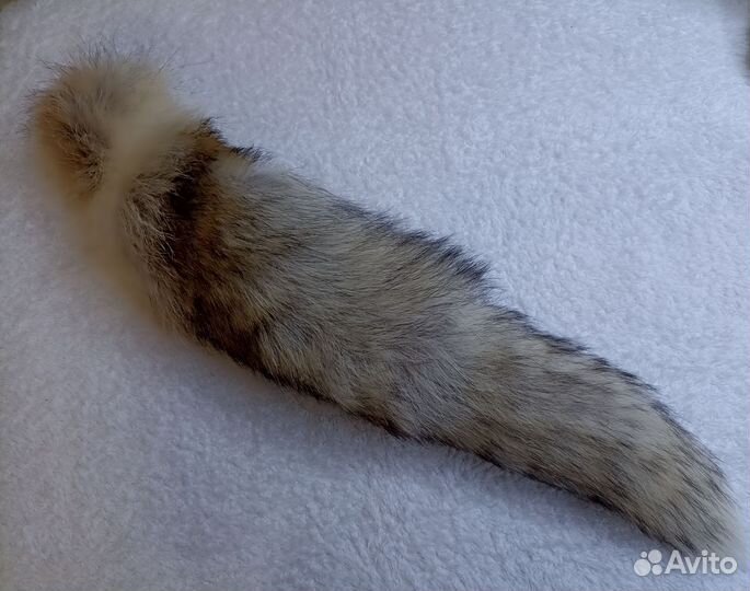 Лисий хвост