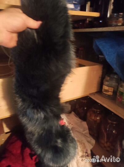 Воротник песец