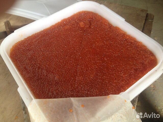 Красная икра. Камчатка. Путина 2024