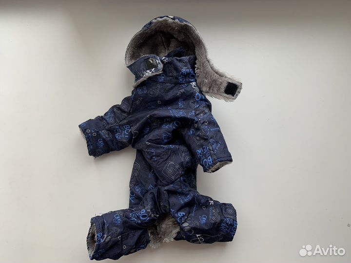 Одежда для маленьких собак