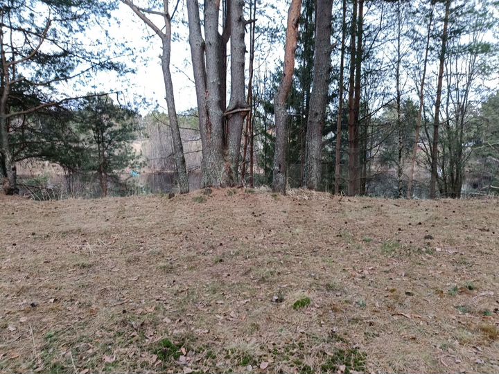 Участок 12,5 сот. (ИЖС)