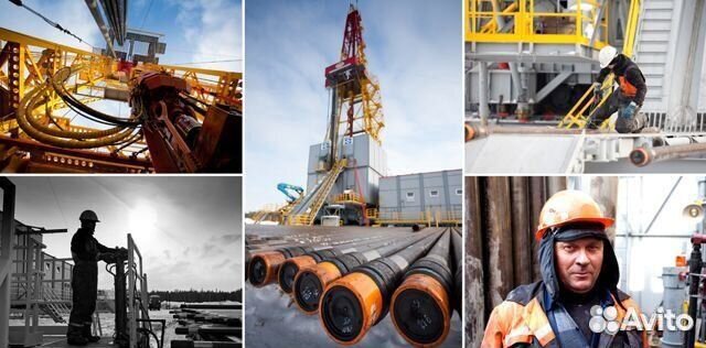 Профессиональная подготовка. Обучение