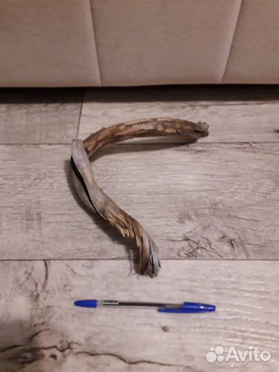 Коряга (на выбор) в аквариум или террариум