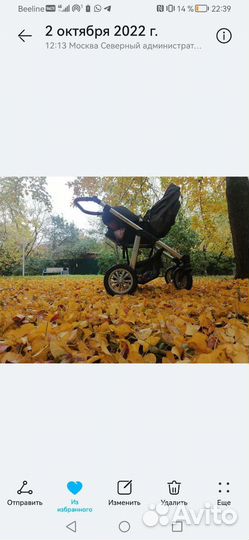 Коляска 2 в 1 beby Design