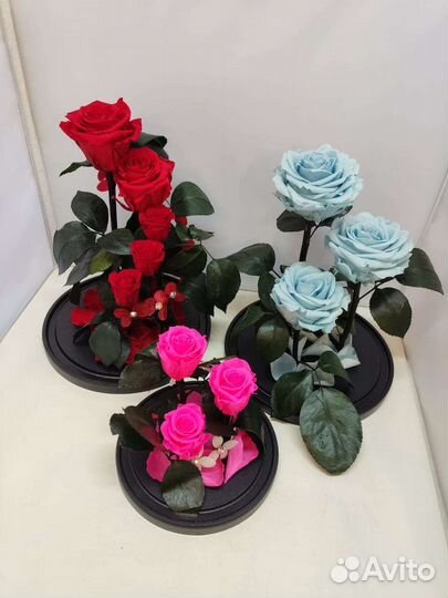 Подарок на новый год / Цветы