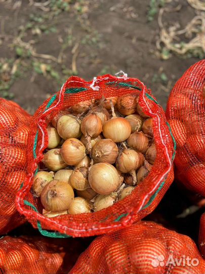 Продукты питания