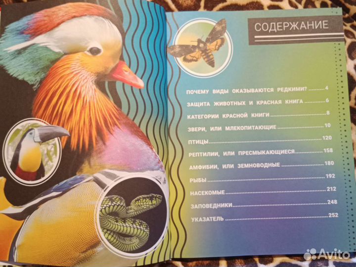 Детские книги, энциклопедия