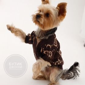 gucci - Купить товары для животных 🐶 во всех регионах: корм
