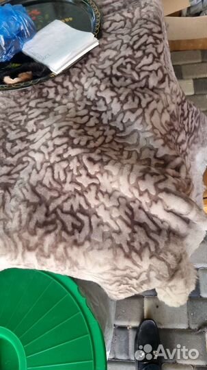 Шкура мутон