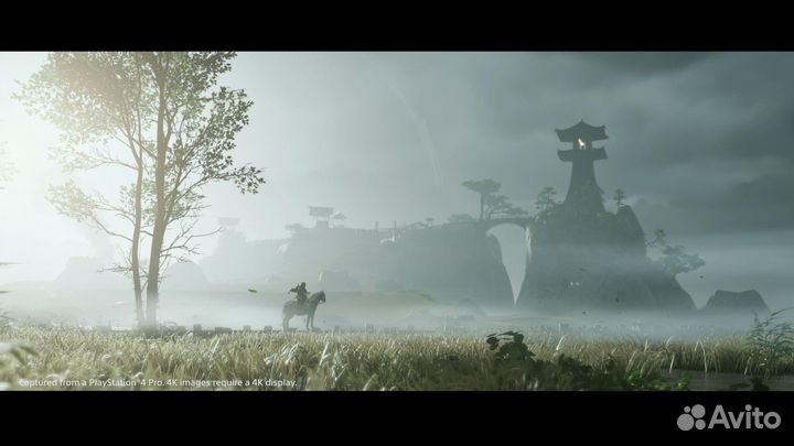 Ghost of Tsushima Director’s Cut PS4