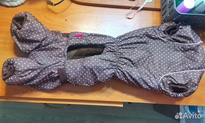 Комбинезон для собаки