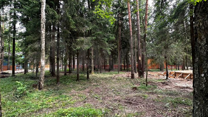 Участок 9,1 сот. (ИЖС)