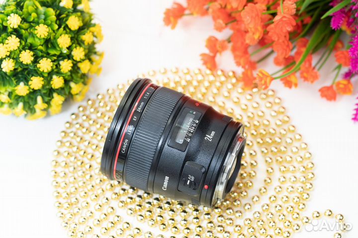 Canon EF 24mm f/1.4L II USM