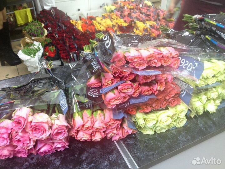 Роза Кенийская