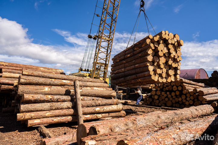Строительное и деревообрабатывающее производство