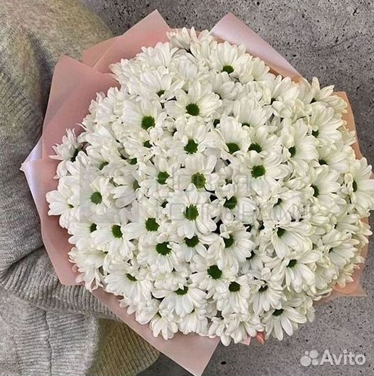 Хризантема Доставка цветов Букеты