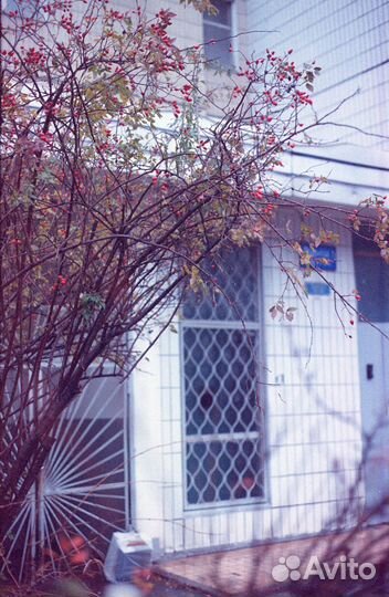 Фотопленка цветная kodak EXR 5296