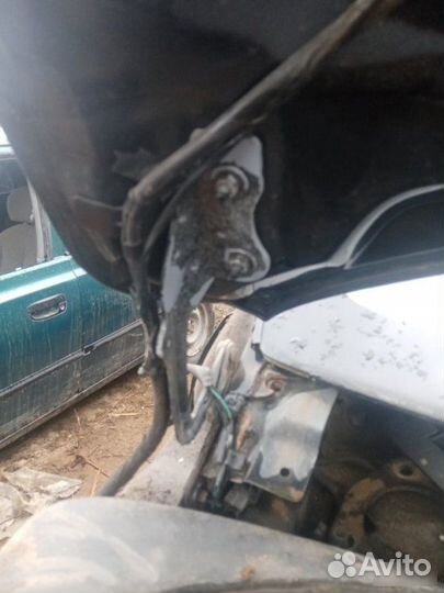 Петля капота Ford Focus 2008