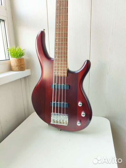 Бас гитара Cort Action V (5 струн)