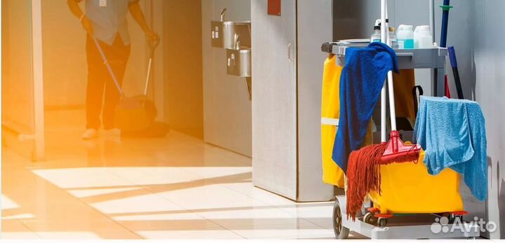 Мастер чистоты