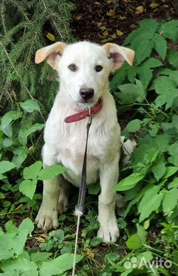 Хочу к мамочке