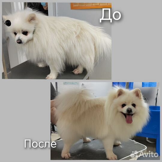 Грумер стрижка собак и кошек