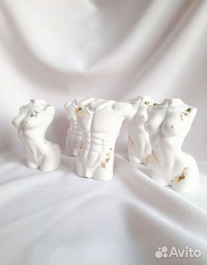 Торсы мужской, женский