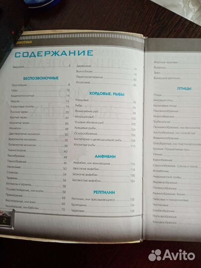 Энциклопедия 