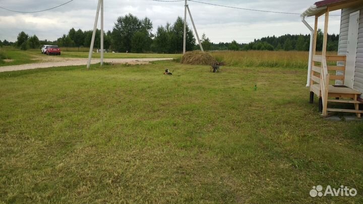 Покос травы, уборка территории