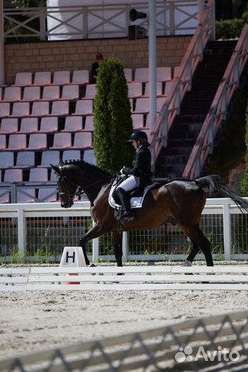 Средний Приз. Элементы Большого