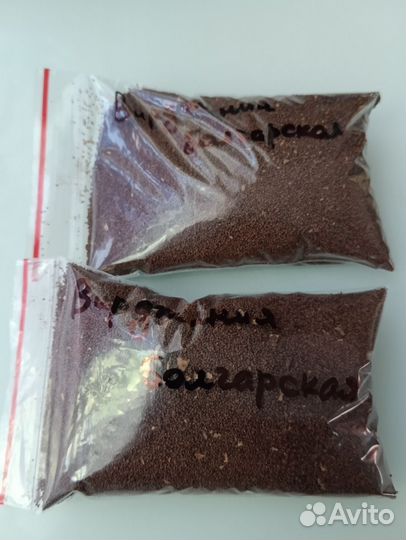 Семена табака