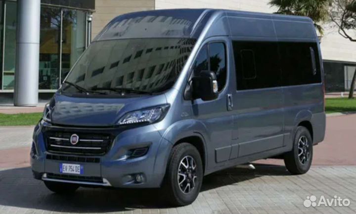 Выезд въезд на границу за миграционной картой