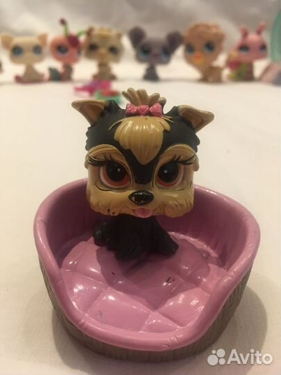 Игрушки Littlest Pet Shop