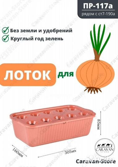 Лоток для лука