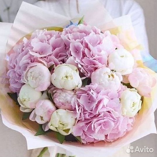Пионы Букет пионов