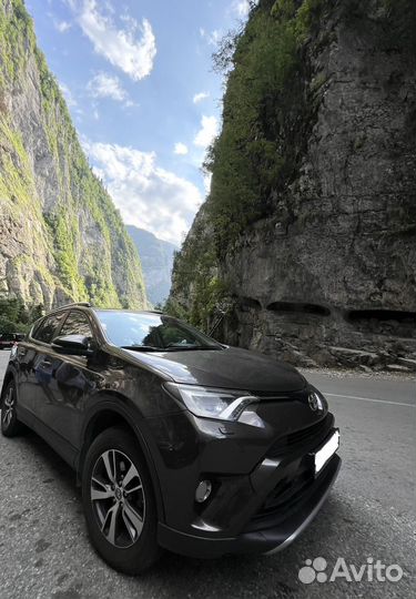 Индивидуальный тур/экскурсия в Красную Поляну