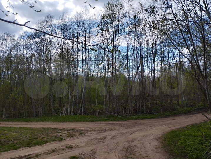 Участок 6 сот. (СНТ, ДНП)