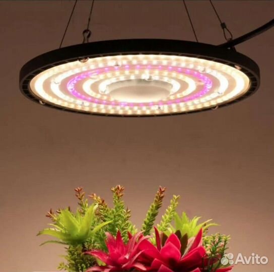 Фитолампа 200W quantum board