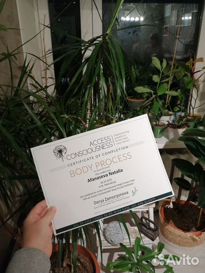 Аксесс барс Access bars Facelift Телесные