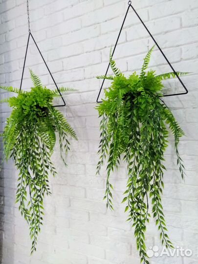 Вьюн, искуственое озеленение