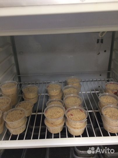 Опарыш рыболовный