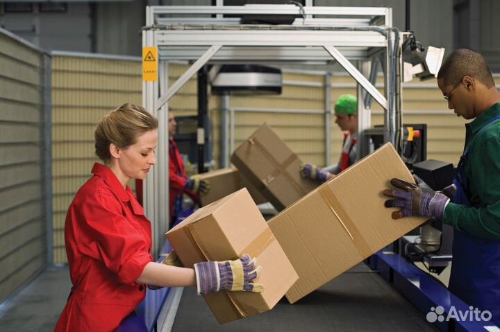 Подработки с ежедневными выплатами