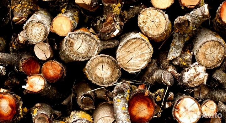 Дрова на дачу в баню