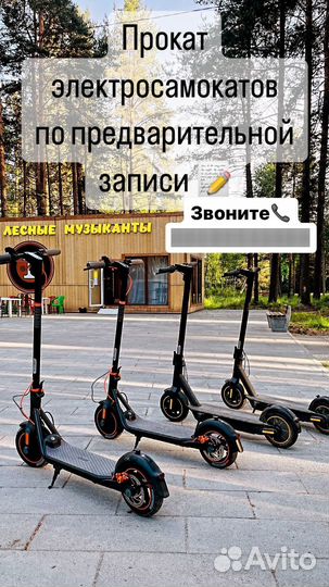 Прокат электросамокатов