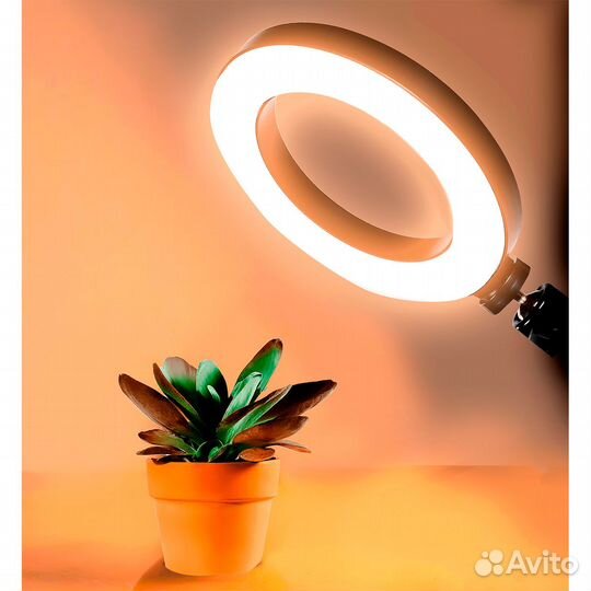 Кольцевая светодиодная (LED) Лампа Smartbuy 15Вт