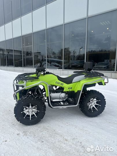 Rato Bully 200 Premium LD